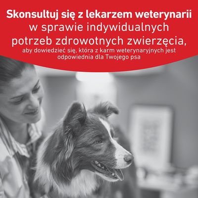 Royal Canin Veterinary Canine Glycobalance Mousse - 12 x 410 g