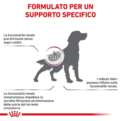 FORMULATO PER UN SUPPORTO SPECIFICO. La funzionalità renale può diminuire senza segni visibili. Funzionalità renale compromessa impedisce la corretta filtrazione. I radicali liberi possono influire.