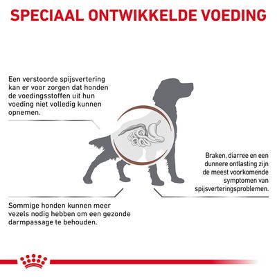 Speciaal ontwikkelde voeding. Tekst: verstoorde spijsvertering belemmert opname voedingsstoffen; braken, diarree en dunne ontlasting zijn symptomen; sommige honden hebben meer vezels nodig.