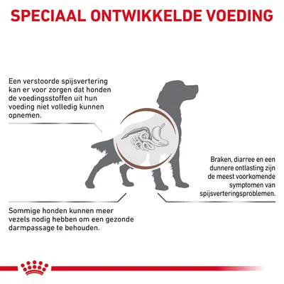 Speciaal ontwikkelde voeding. Tekst: verstoorde spijsvertering belemmert opname voedingsstoffen; braken, diarree en dunne ontlasting zijn symptomen; sommige honden hebben meer vezels nodig.