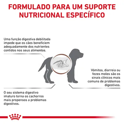 Formulado para um suporte nutricional específico. Uma função digestiva debilitada impede que os cães beneficiem dos nutrientes. Cachorros são mais propensos a problemas digestivos. Vómitos, diarreia ou fezes moles são sinais clínicos comuns.