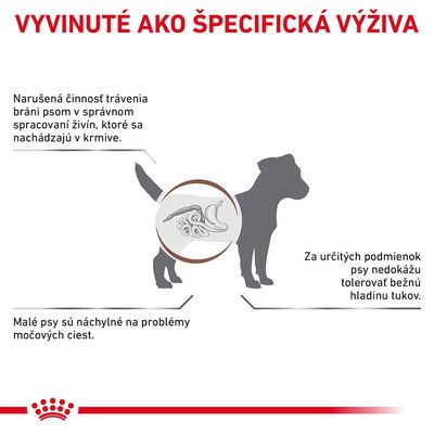VYVINUTÉ AKO ŠPECIFICKÁ VÝŽIVA. Narušená činnosť trávenia bráni psom v spracovaní živín. Malé psy sú náchylné na problémy močových ciest. Psy niekedy netolerujú bežnú hladinu tukov.