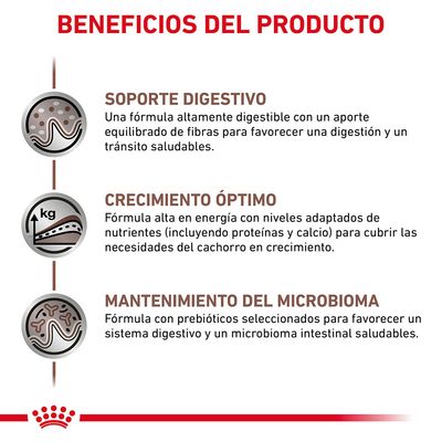 Beneficios del producto: soporte digestivo, crecimiento óptimo y mantenimiento del microbioma. Incluye descripciones sobre digestión, energía, nutrientes y prebióticos.