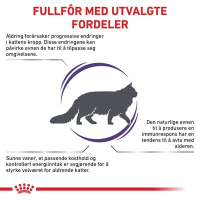 Royal Canin Expert Feline Mature Consult