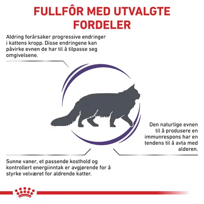 Royal Canin Expert Feline Mature Consult