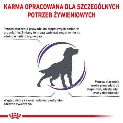 KARMA OPRACOWANA DLA SZCZEGÓLNYCH POTRZEB ŻYWIENIOWYCH. Proces starzenia prowadzi do zmian w organizmie psa, utraty siły i masy mięśniowej oraz wpływa na wygląd skóry i sierści.