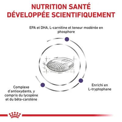 NUTRITION SANTÉ DÉVELOPPÉE SCIENTIFIQUEMENT. EPA et DHA, L-carnitine, teneur modérée en phosphore, complexe d’antioxydants dont lycopène et bêta-carotène, enrichi en L-tryptophane.