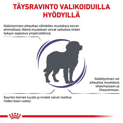 Täysravinto valikoiduilla hyödyillä. Ikääntyminen aiheuttaa muutoksia koiran elimistössä, lihasmassassa ja luustossa. Suurten koirien nivelet voivat rasittua koon vuoksi.