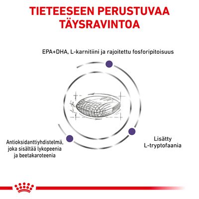 Tieteeseen perustuvaa täysravintoa. EPA+DHA, L-karnitiini, rajoitettu fosforipitoisuus, antioksidanttiyhdistelmä lykopeenilla ja beetakaroteenilla, lisätty L-tryptofaania.