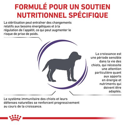 Formulé pour un soutien nutritionnel spécifique. Texte : la stérilisation modifie les besoins énergétiques, la croissance des chiots nécessite une attention particulière, système immunitaire renforcé.
