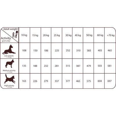 Fodringstabel for hunde baseret på vægt og aktivitetsniveau: lav, middel, høj. Angivet i gram pr. dag for vægte fra 10 kg til over 70 kg.