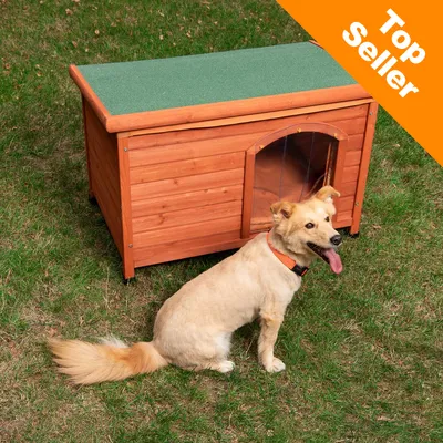 Cuccia per cani in legno con tetto verde, cane beige seduto davanti. Angolo arancione con testo: Top Seller.
