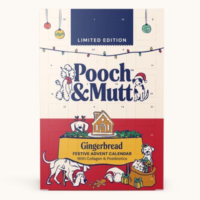 Pooch & Mutt Gingerbread Festive Advent Calendar - 1 Advent Calendar