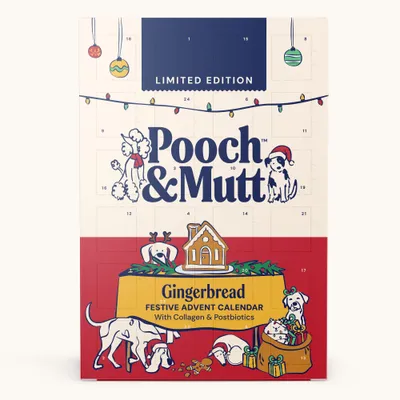 Pooch & Mutt Gingerbread Festive Advent Calendar - 1 Advent Calendar