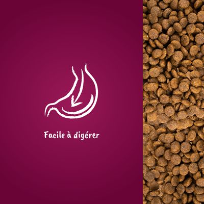 Croquettes avec illustration d’un estomac et texte : Facile à digérer