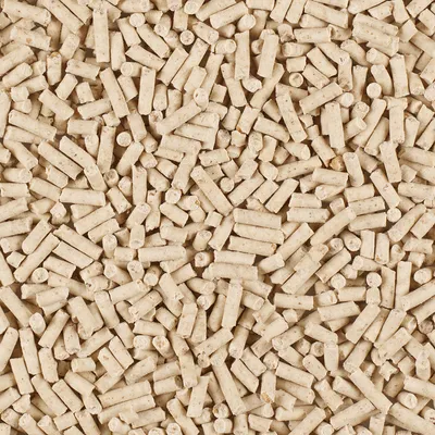 Vue rapprochée de granulés cylindriques beiges, sans marque ni texte visible, montrant la texture du produit en vrac.