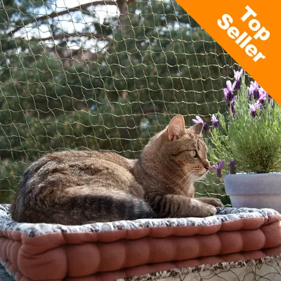 Kat ligger på pude foran sikkerhedsnet til altan, lilla blomster i potte ved siden af. Orange hjørne med teksten Top Seller.