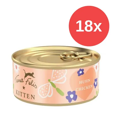 Terra Felis Kitten, 18 x 70 g - Wołowina i królik