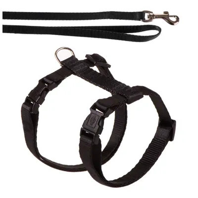 Adjustable black harness with quick-release buckles and matching lead, both shown separately to display design and fastening features. Adjustable black harness with quick-release buckles and matching lead, both shown separately to display design and fastening features.