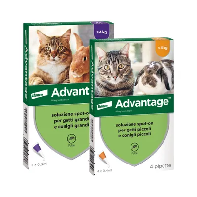 Due confezioni Elanco Advantage: soluzione spot-on per gatti grandi e conigli grandi ≥4 kg, 4x0,8 ml; soluzione spot-on per gatti piccoli e conigli piccoli <4 kg, 4x0,4 ml. Pulce.