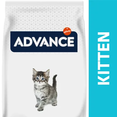 Sac de croquettes avec un chaton, marque Advance affinity, texte visible : KITTEN Sac de croquettes avec un chaton, marque Advance affinity, texte visible : KITTEN