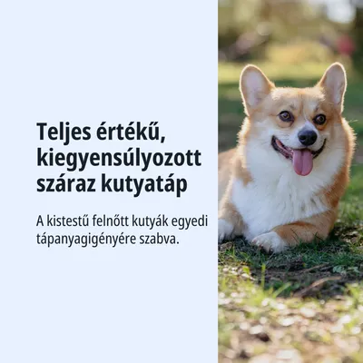 Teljes értékű, kiegyensúlyozott száraztáp kis testű felnőtt kutyák számára, amely igazodik azok speciális tápanyagszükségleteihez.
