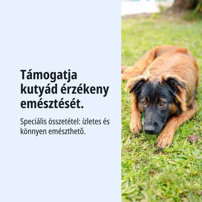 Támogatja kutyád érzékeny emésztését. Speciális összetétel: ízletes és könnyen emészthető.