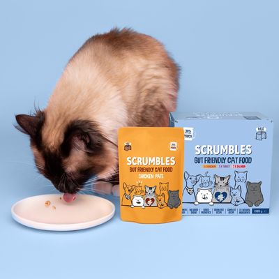 Scrumbles Gut Health Cat Food Pouches Classic Pâté Selection