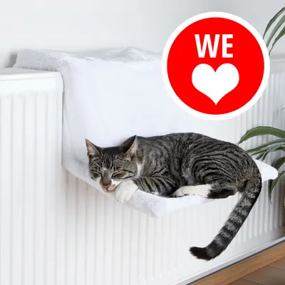 Gatto tigrato che dorme su un lettino bianco fissato a un termosifone. Cerchio rosso con testo bianco 'WE' e cuore visibile in alto a destra.