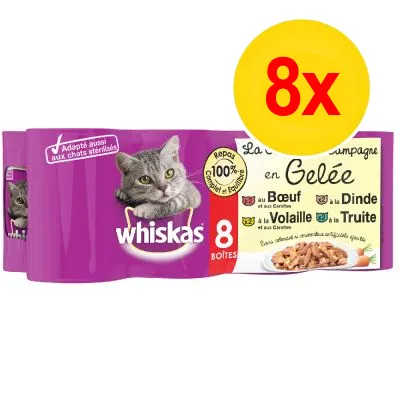 Whiskas 8-pack kattmat i gelé, smaker: nötkött, fågel, kalkon, forell. Text: Anpassad även för steriliserade katter, 100 % komplett och balanserat. Stor gul cirkel med röd text: 8x.