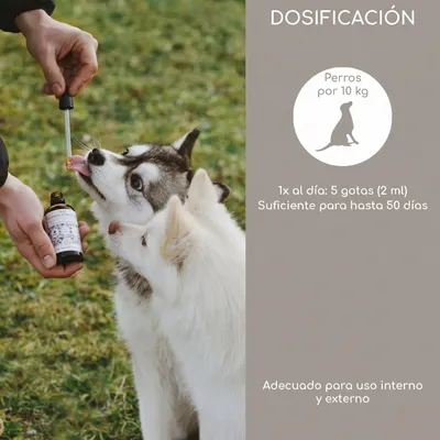 Wolfsbacher Natur Aceite de semilla de comino negro ecológico - 100 ml