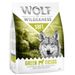 Wolf of Wilderness Soft Green Fields con cordero 1 kg