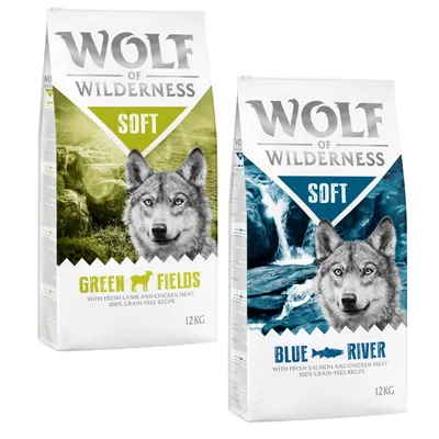 Wolf of Wilderness Soft & Strong 2 x 12 kg - Pack Ahorro - Pack mixto: cordero y salmón 