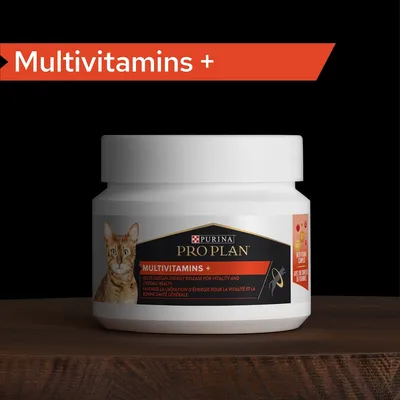 Frasco de suplemento Purina Pro Plan Multivitamins + para gatos. Rótulo visível com imagem de gato e texto em inglês: 'Helps sustain energy release for vitality and overall health'.