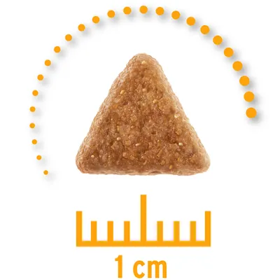 Dreieckige Krokette mit einer Grösse von 1 cm, dargestellt mit Massstab und orangefarbenen Punkten.