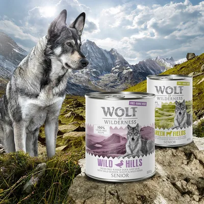 Wolf of Wilderness Senior nourriture humide, variétés Wild Hills avec canard et Green Fields avec poulet, sans céréales, 100% ingrédients naturels. Emballage devant paysage de montagne.