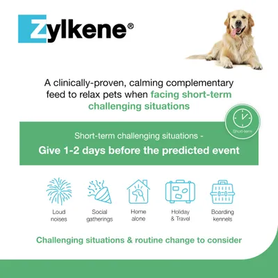 Zylkene Calming Supplement for Medium Dogs 10 - 30 kg - Saver Pack: 2 x 20 Capsules