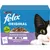 Felix Original mixed selection in jelly, 12 packs with chicken, lamb, salmon, white fish. No colourants included.