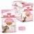 Royal Canin Kitten Sterilised 6-12 Months, 12 x 85g pouches, chunks in jelly, soft texture for milk teeth, stage 4.