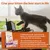 Kitten food products with text: Recipes for growing kittens are rich in proteins, calcium and phosphorous for strong bones and teeth, plus vitamins and minerals to support the immune system.