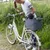 Cestino anteriore per bicicletta con griglia di sicurezza in metallo, contenente un piccolo animale domestico nero, montato su una bici bianca all'aperto.