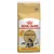 12kg Royal Canin Dry Cat Food - 10kg + 2kg Free! *