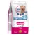 Sac Forza10 Mini Adult Maintenance al Pesce 4 kg, croquettes au poisson, pour chiens 1–10 kg, texte en anglais et italien, photo d’un petit chien, mentions sans gluten ni antibiotique.