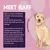 Text reads: Meet Raff. Raff is a 4 year old Golden Labrador who loves being outside and eating, prefers the beach, eats Burgess Sensitive due to an upset stomach, likes salmon.