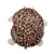 Giocattolo di peluche a forma di tartaruga con motivo giraffa marrone e bianco sul dorso.