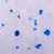 Close-up of white and blue silica crystals, showing the texture and appearance of the product contents.