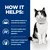 Hill's Prescription Diet Feline i/d Digestive Care - Salmon - 12 x 85g