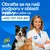 Kontakt na nutričné poradenstvo Farmina Pet Foods na čísle +420-737-704-847. Logá: ND, VetLife.