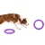 Dog playing with purple training ring. Two rings visible, one lying down and one standing. Product name 'Puller' embossed on ring.