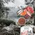 Image showing raw fish, meat, berries and herbs with text: everyday high quality nutrition, delicious taste and smell, grain-free, no artificial preservatives. Wolf of Wilderness product shown.